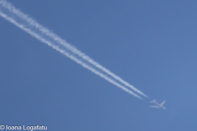 Plane glides high through blue skies